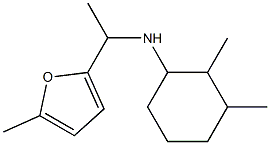 2,3-dimethyl-N-[1-(5-methylfuran-2-yl)ethyl]cyclohexan-1-amine 化学構造式