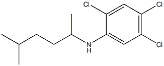 2,4,5-trichloro-N-(5-methylhexan-2-yl)aniline 结构式