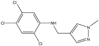 2,4,5-trichloro-N-[(1-methyl-1H-pyrazol-4-yl)methyl]aniline