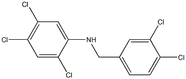 2,4,5-trichloro-N-[(3,4-dichlorophenyl)methyl]aniline|
