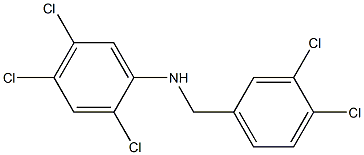 2,4,5-trichloro-N-[(3,4-dichlorophenyl)methyl]aniline,,结构式