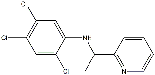 2,4,5-trichloro-N-[1-(pyridin-2-yl)ethyl]aniline 结构式