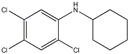2,4,5-trichloro-N-cyclohexylaniline,,结构式