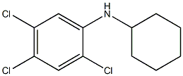  2,4,5-trichloro-N-cyclohexylaniline