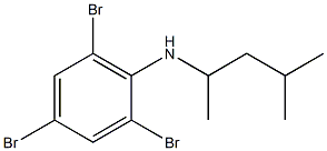 2,4,6-tribromo-N-(4-methylpentan-2-yl)aniline