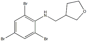 2,4,6-tribromo-N-(oxolan-3-ylmethyl)aniline Structure