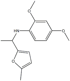 2,4-dimethoxy-N-[1-(5-methylfuran-2-yl)ethyl]aniline Structure