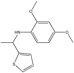 2,4-dimethoxy-N-[1-(thiophen-2-yl)ethyl]aniline Struktur