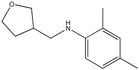 2,4-dimethyl-N-(oxolan-3-ylmethyl)aniline