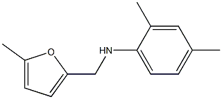 2,4-dimethyl-N-[(5-methylfuran-2-yl)methyl]aniline