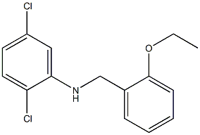 2,5-dichloro-N-[(2-ethoxyphenyl)methyl]aniline 化学構造式