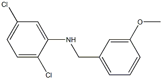 2,5-dichloro-N-[(3-methoxyphenyl)methyl]aniline