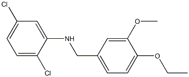 2,5-dichloro-N-[(4-ethoxy-3-methoxyphenyl)methyl]aniline 化学構造式