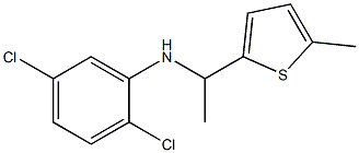 2,5-dichloro-N-[1-(5-methylthiophen-2-yl)ethyl]aniline 化学構造式