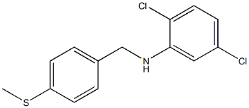  2,5-dichloro-N-{[4-(methylsulfanyl)phenyl]methyl}aniline