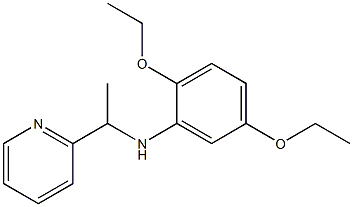 2,5-diethoxy-N-[1-(pyridin-2-yl)ethyl]aniline 化学構造式