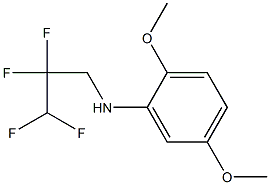 2,5-dimethoxy-N-(2,2,3,3-tetrafluoropropyl)aniline,,结构式