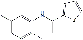 2,5-dimethyl-N-[1-(thiophen-2-yl)ethyl]aniline Structure