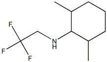 2,6-dimethyl-N-(2,2,2-trifluoroethyl)cyclohexan-1-amine