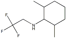 2,6-dimethyl-N-(2,2,2-trifluoroethyl)cyclohexan-1-amine|