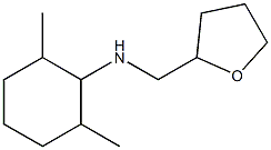 2,6-dimethyl-N-(oxolan-2-ylmethyl)cyclohexan-1-amine 化学構造式