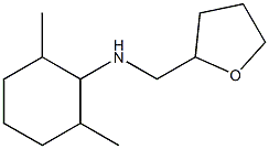  2,6-dimethyl-N-(oxolan-2-ylmethyl)cyclohexan-1-amine