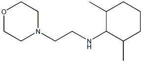 2,6-dimethyl-N-[2-(morpholin-4-yl)ethyl]cyclohexan-1-amine