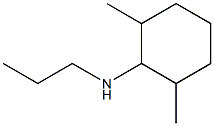 2,6-dimethyl-N-propylcyclohexan-1-amine 结构式