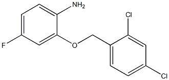 2-[(2,4-dichlorophenyl)methoxy]-4-fluoroaniline 结构式