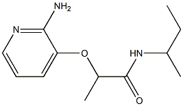 2-[(2-aminopyridin-3-yl)oxy]-N-(butan-2-yl)propanamide Structure