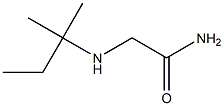 2-[(2-methylbutan-2-yl)amino]acetamide