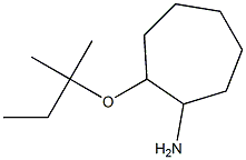 2-[(2-methylbutan-2-yl)oxy]cycloheptan-1-amine Struktur