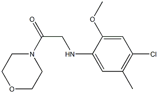 2-[(4-chloro-2-methoxy-5-methylphenyl)amino]-1-(morpholin-4-yl)ethan-1-one