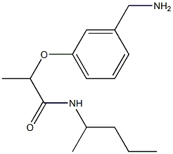 2-[3-(aminomethyl)phenoxy]-N-(pentan-2-yl)propanamide Structure