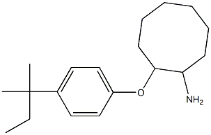 2-[4-(2-methylbutan-2-yl)phenoxy]cyclooctan-1-amine 化学構造式