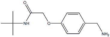 2-[4-(aminomethyl)phenoxy]-N-(tert-butyl)acetamide Structure