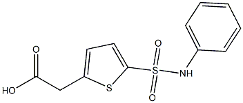2-[5-(phenylsulfamoyl)thiophen-2-yl]acetic acid 化学構造式