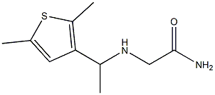 2-{[1-(2,5-dimethylthiophen-3-yl)ethyl]amino}acetamide|