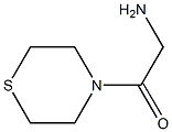 2-amino-1-(thiomorpholin-4-yl)ethan-1-one|