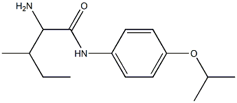 2-amino-3-methyl-N-[4-(propan-2-yloxy)phenyl]pentanamide