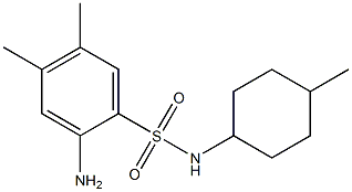 2-amino-4,5-dimethyl-N-(4-methylcyclohexyl)benzene-1-sulfonamide