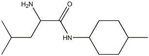 2-amino-4-methyl-N-(4-methylcyclohexyl)pentanamide|