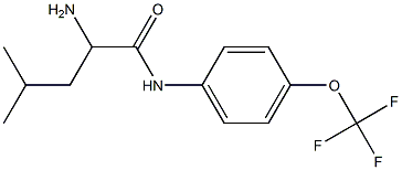 2-amino-4-methyl-N-[4-(trifluoromethoxy)phenyl]pentanamide Struktur