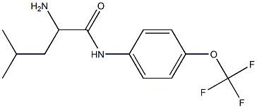 2-amino-4-methyl-N-[4-(trifluoromethoxy)phenyl]pentanamide Structure