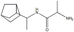 2-amino-N-(1-bicyclo[2.2.1]hept-2-ylethyl)propanamide 化学構造式