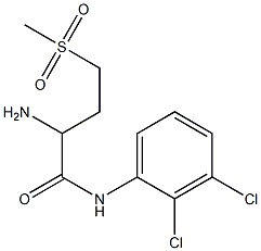 2-amino-N-(2,3-dichlorophenyl)-4-methanesulfonylbutanamide