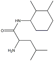 2-amino-N-(2,3-dimethylcyclohexyl)-4-methylpentanamide Structure