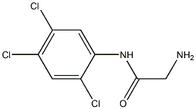 2-amino-N-(2,4,5-trichlorophenyl)acetamide 化学構造式