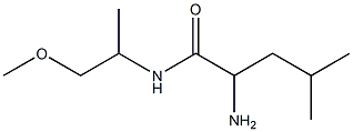 2-amino-N-(2-methoxy-1-methylethyl)-4-methylpentanamide