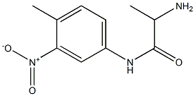 2-amino-N-(4-methyl-3-nitrophenyl)propanamide|